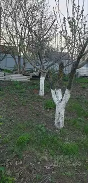 Дом в Белгородская область, Белгородский район, с. Стрелецкое ...