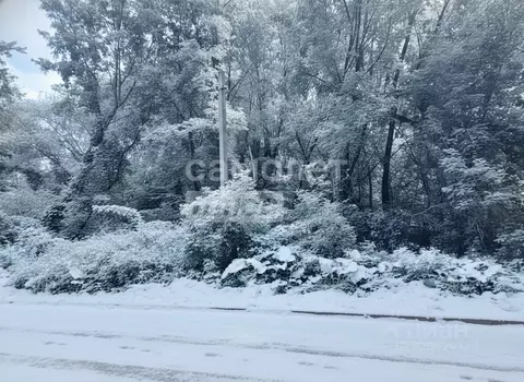 Участок в Воронежская область, Воронеж ул. Дарвина (8.0 сот.)