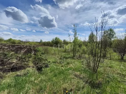 Участок в Белгородская область, Белгородский муниципальный округ, с. ...