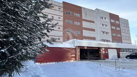 Гараж в Алтайский край, Барнаул ул. Антона Петрова, 249Б (20 м)