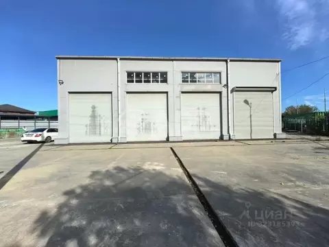 Помещение свободного назначения в Краснодарский край, Краснодар ...