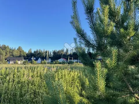 Участок в Ленинградская область, Выборгский район, Каменногорское ...