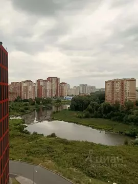 Студия Московская область, Балашиха ул. Яганова, 12 (21.2 м)