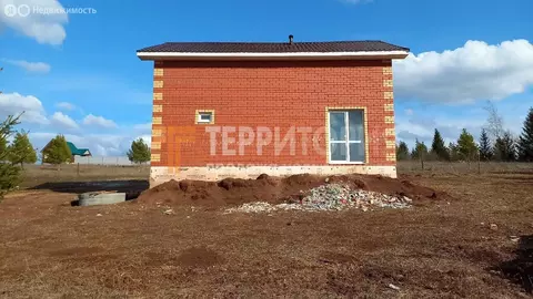 Дом в Пермский муниципальный округ, деревня Большакино, Сосновая ...