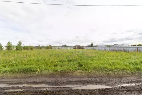 Участок в Тюменская область, Тюменский муниципальный округ, д. Ушакова ...