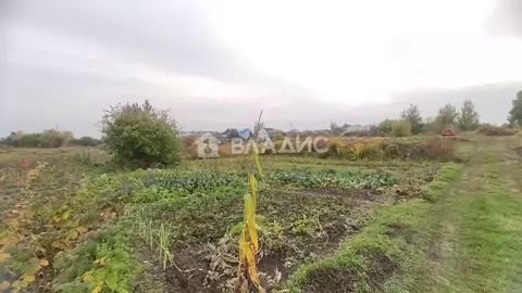 Участок в Брянская область, Брянский район, Добрунское с/пос, д. ...