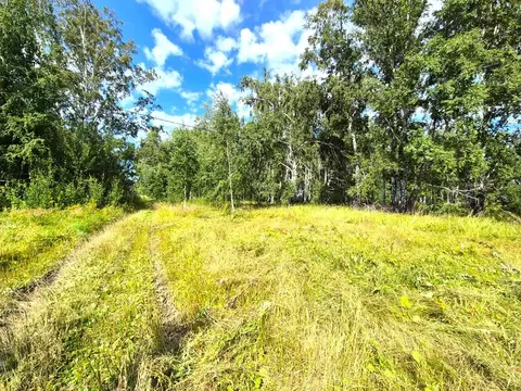 Участок в Омская область, Омский район, Пушкинское с/пос, д. Ракитинка ...