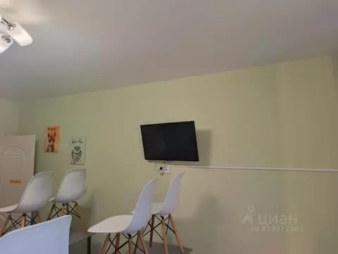 Студия Краснодарский край, Северский район, Афипское городское ...