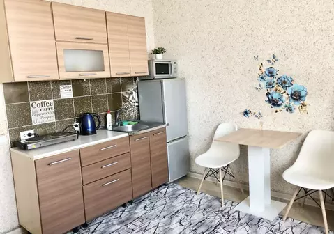 Студия Новосибирская область, Новосибирск ул. Одоевского, 1/9 (24.0 м)