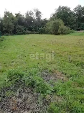 Участок в Ярославская область, Ярославский муниципальный округ, ...