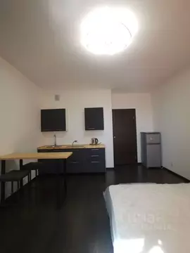 Студия Санкт-Петербург просп. Авиаконструкторов, 69 (24.9 м)