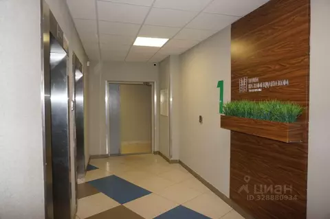 Квартира, студия, 23.9 м