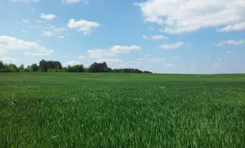 Участок в Крым, Симферопольский район, Кольчугинское с/пос, с. ...