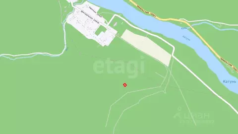 Участок в Алтай, Чемальский район, с. Анос Центральная ул., 41 (12.0 ...
