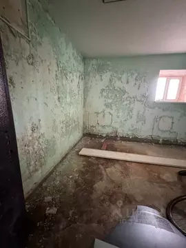 Помещение свободного назначения в Ямало-Ненецкий АО, Пуровский район, ...