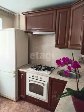 2-к кв. Башкортостан, Стерлитамак ул. Блюхера, 4 (31.1 м)