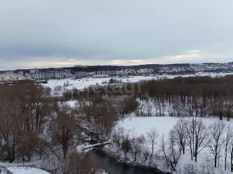 1-к кв. Брянская область, Брянск Мининская ул., 50 (49.4 м)