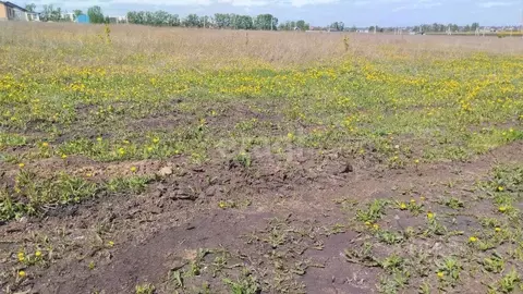 Участок в Белгородская область, Корочанский муниципальный округ, ...