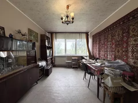 3-к кв. Санкт-Петербург просп. Народного ополчения, 221 (60.4 м)