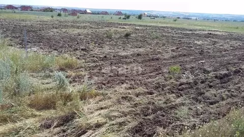 Участок в Ростовская область, Родионово-Несветайский район, ...