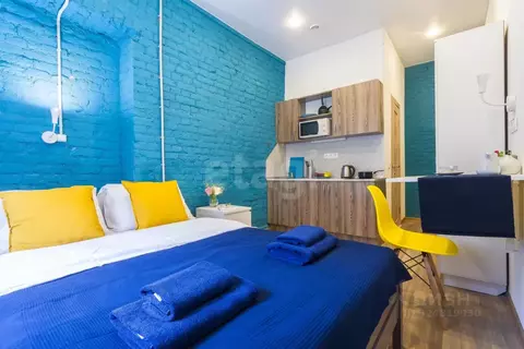 Студия Санкт-Петербург ул. Куйбышева, 20 (20.0 м)