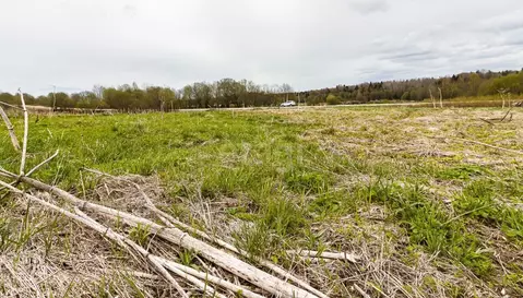 Участок в Вологодская область, пос. Перьево  (25.24 сот.)