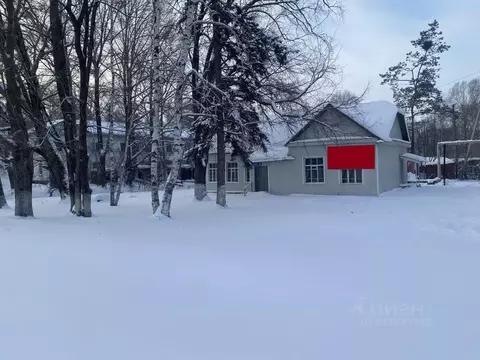 Помещение свободного назначения в Еврейская автономная область, ...