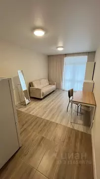 Студия Санкт-Петербург ул. Среднерогатская, 10к1 (26.0 м)