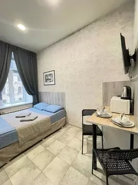 1-к кв. Санкт-Петербург ул. Маяковского, 10 (15.0 м)