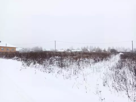 Участок в Мордовия, Кочкуровский район, с. Булгаково Новая ул., 20 ...