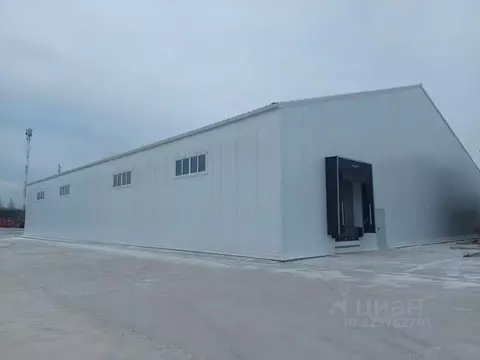 Производственное помещение в Московская область, Чехов Почтовая ул., 8 ...
