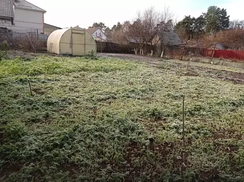 Участок в Брянская область, Почепский район, Речицкое с/пос, пос. ...