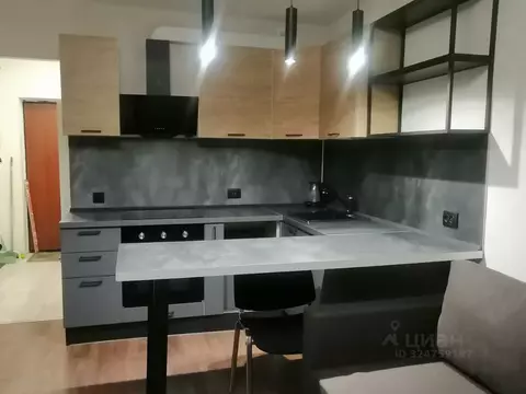 Студия Санкт-Петербург пос. Шушары, Московское ш., 250к2 (25.0 м)