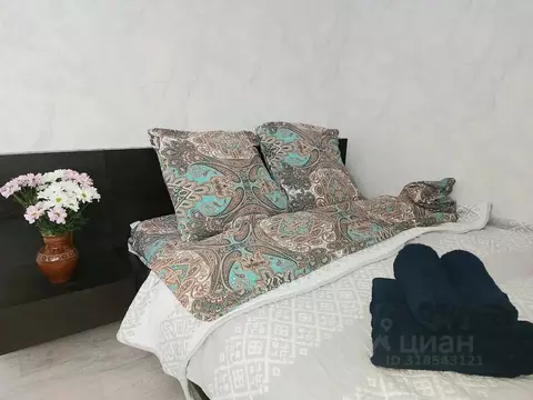 Студия Нижегородская область, Нижний Новгород Краснозвездная ул., 12А ...