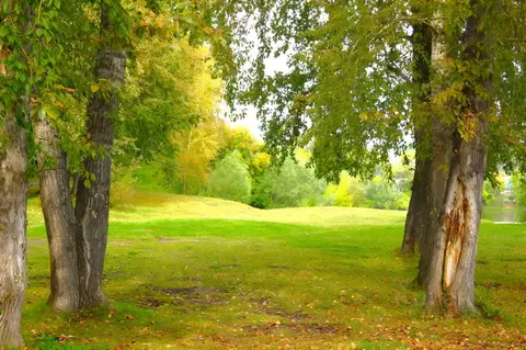 Коттедж в Свердловская область, Белоярский муниципальный округ, пос. ...