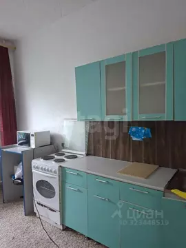 2-к кв. Амурская область, Благовещенск Забурхановская ул., 93/1 (55.0 ...