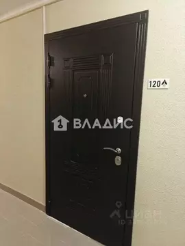 Студия Санкт-Петербург пос. Шушары, Московское ш., 262к1 (23.0 м)