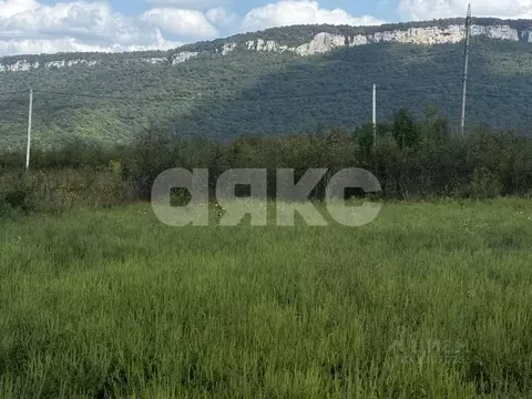 Участок в Адыгея, Майкопский район, Даховская ст-ца  (8.0 сот.)