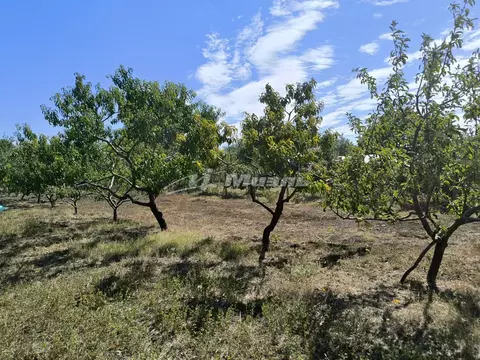 Участок в Крым, Симферопольский район, Трудовское с/пос, с. Ивановка ...