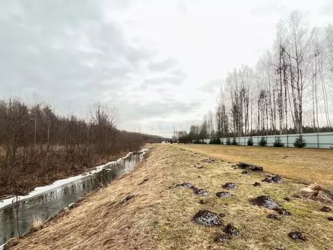 Участок в Ярославская область, Некрасовский муниципальный округ, ...