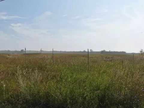 Участок в Самарская область, Ставропольский район, с. Подстепки ул. ...