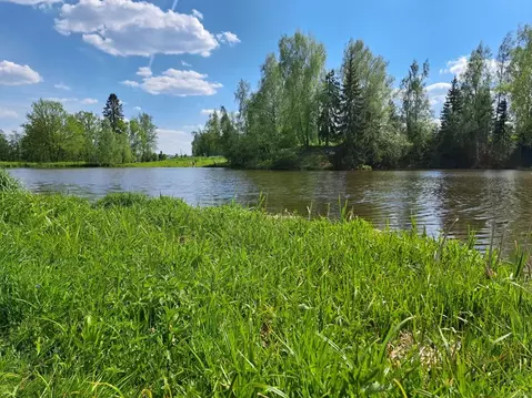 Участок в Московская область, Дмитровский муниципальный округ, д. ...