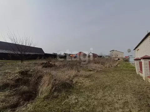 Участок в Белгородская область, Вейделевка рп ул. Зеленая, 5 (15.09 ...