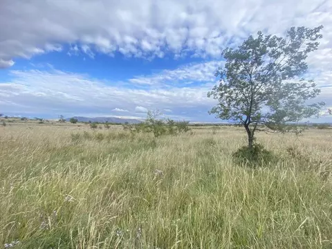 Участок в Хакасия, Усть-Абакан рп ул. Октябрьская (10.0 сот.)