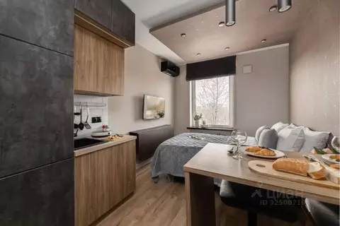 1-к кв. Москва Ботаническая ул., 33Вс1 (20.0 м)