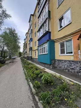 2-к кв. Пензенская область, Пенза ул. Вяземского, 19 (45.1 м)