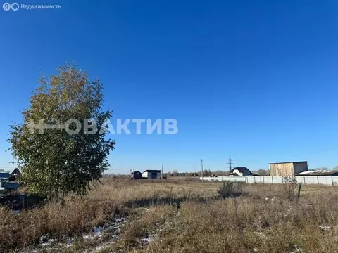 Участок в Красный Яр, улица Сергеева, 55 (15 м)