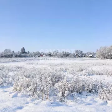 Участок в Курская область, Курский район, Камышинский сельсовет, д. ...