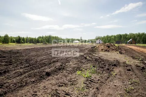 Участок в Челябинская область, Сосновский район, Кременкульское с/пос, ...