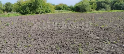 Участок в Амурская область, Тамбовский муниципальный округ, с. ...